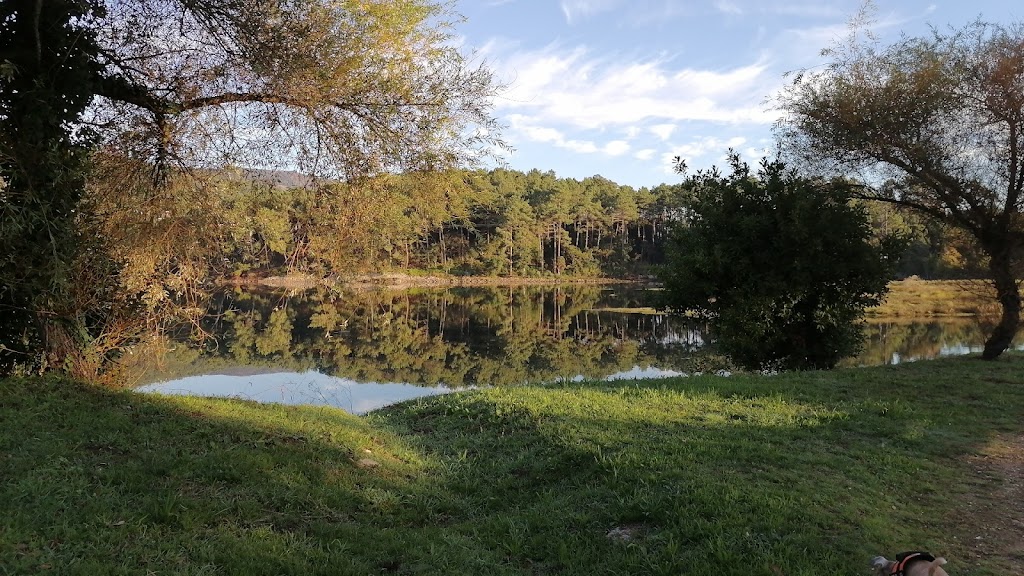 Parque playa jardin 8