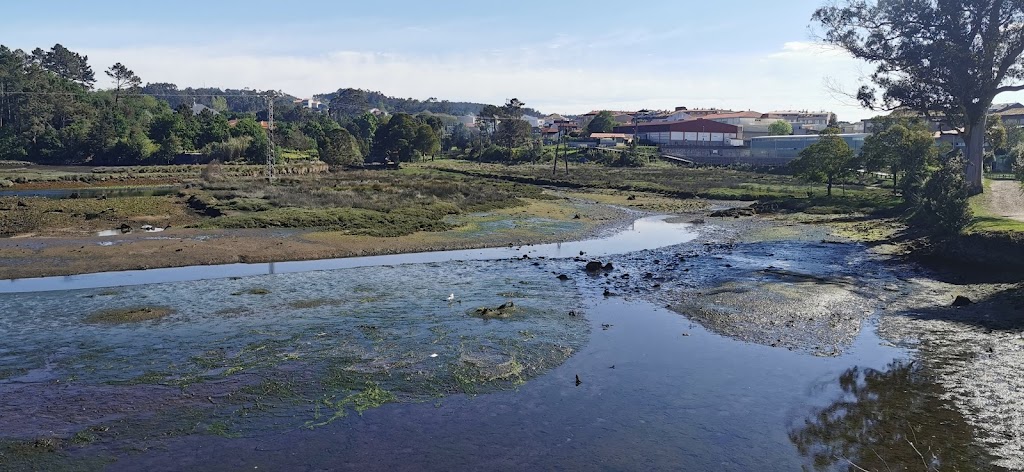 Parque playa jardin 9