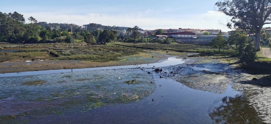 Parque playa jardin - Foto 9