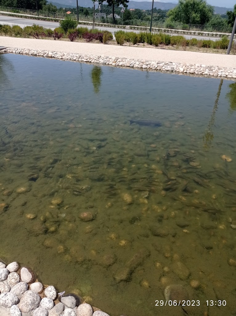 Parque Verde - Foto 9