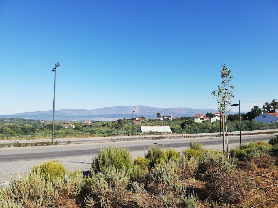 Parque Verde - Foto 10