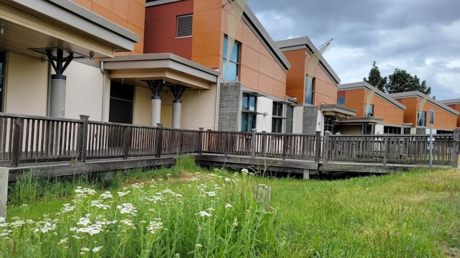 Redwood Shores Branch Library - Foto 3