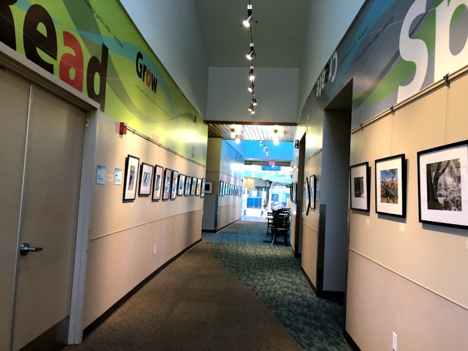 Redwood Shores Branch Library - Foto 4