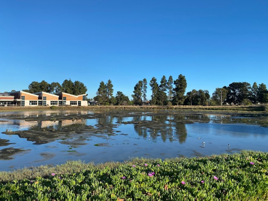 Redwood Shores Branch Library - Foto 5