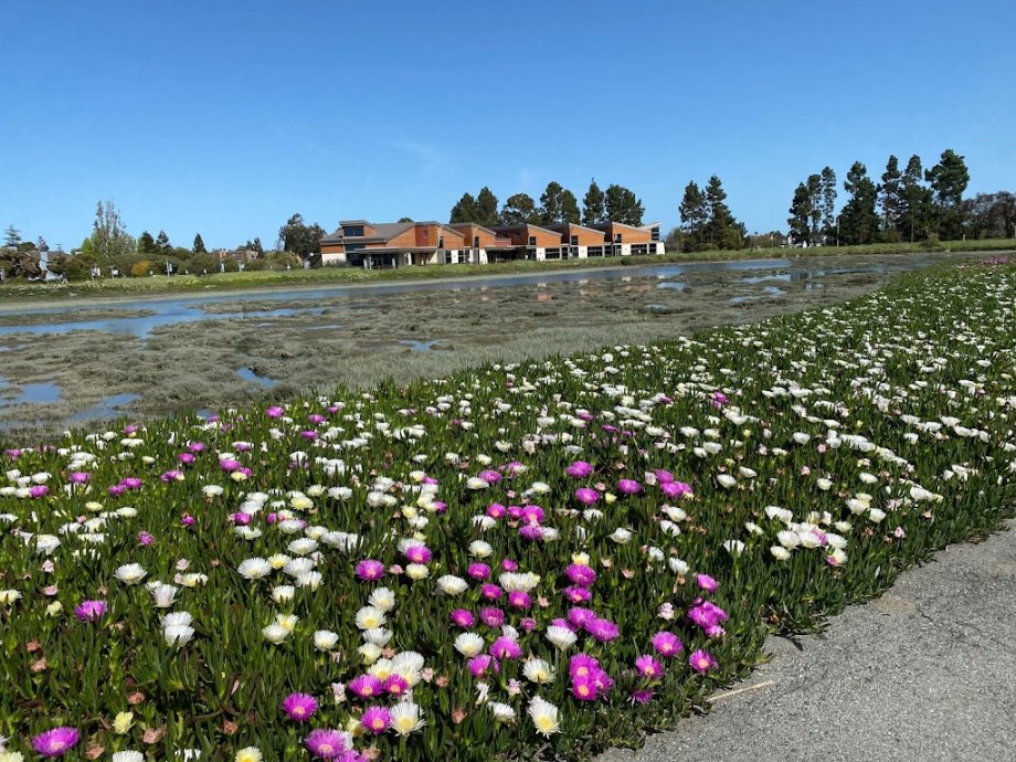 Redwood Shores Branch Library - Foto 10