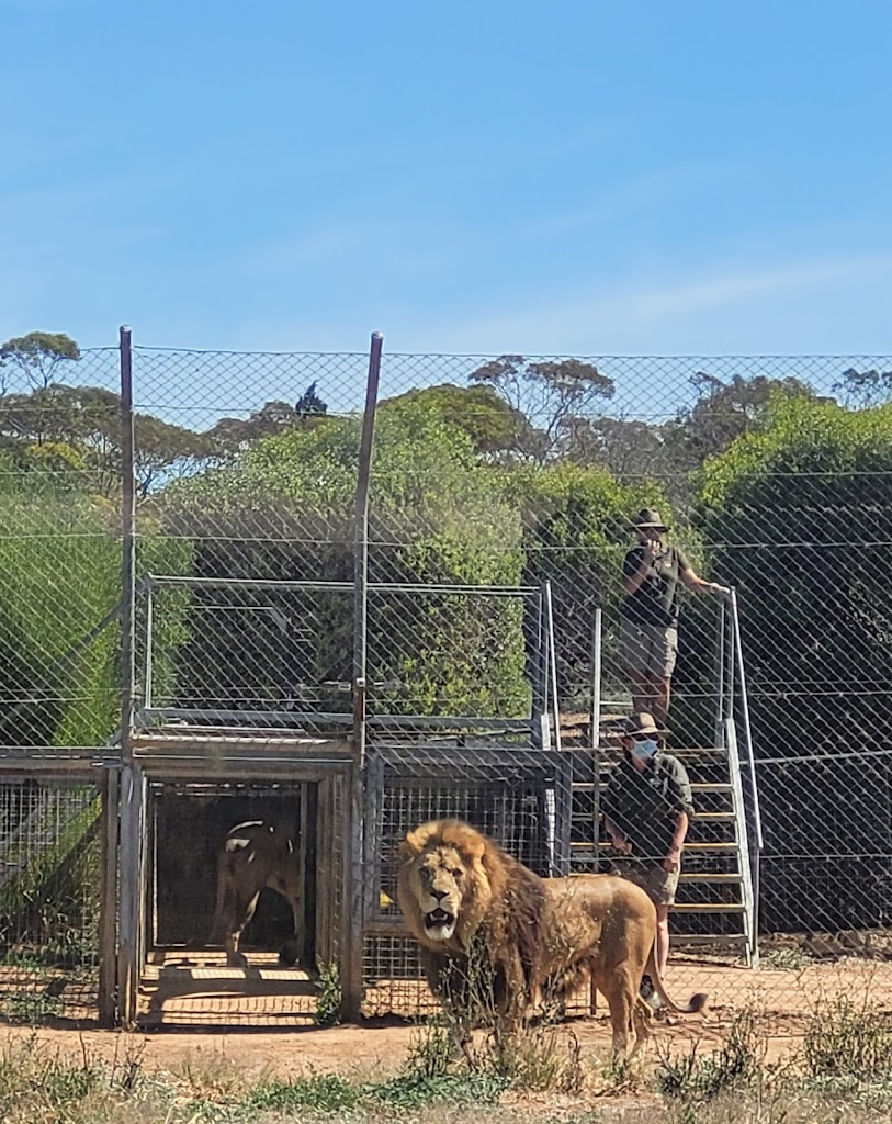 Monarto Safari Park - Foto 11