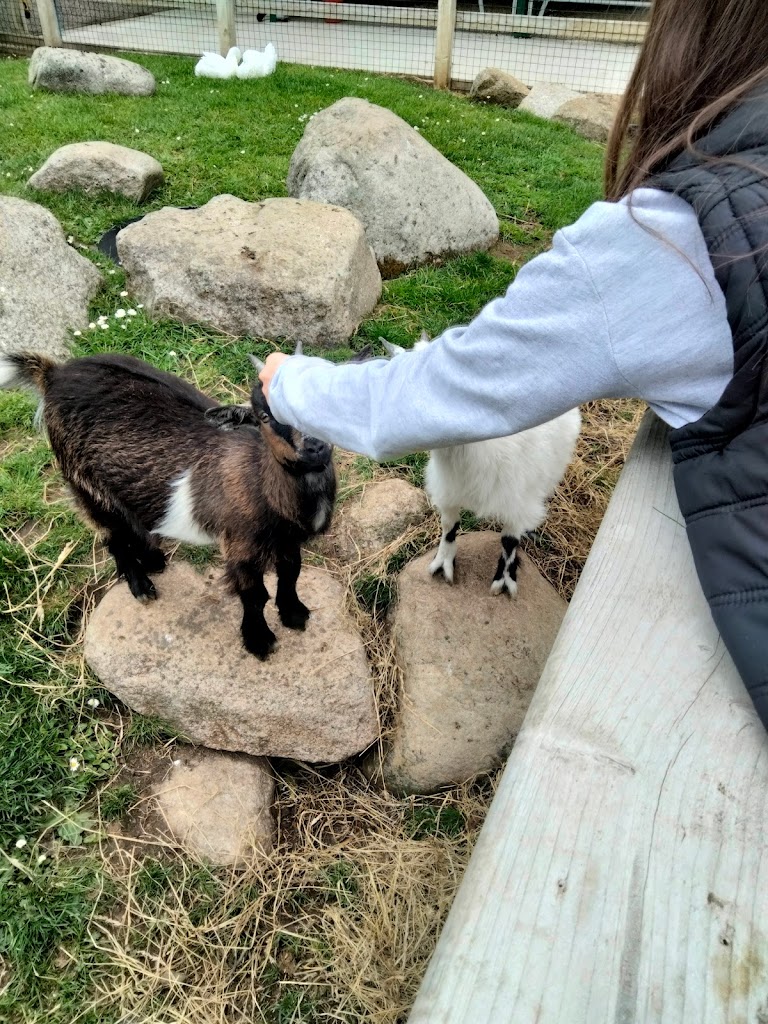 Fort Evergreen Warrenpoint 3