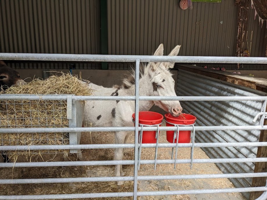 Fort Evergreen Warrenpoint - Foto 5