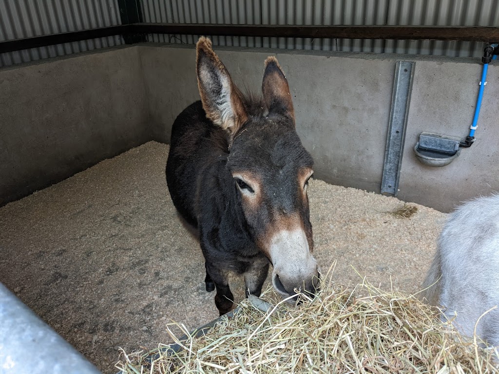 Fort Evergreen Warrenpoint 6