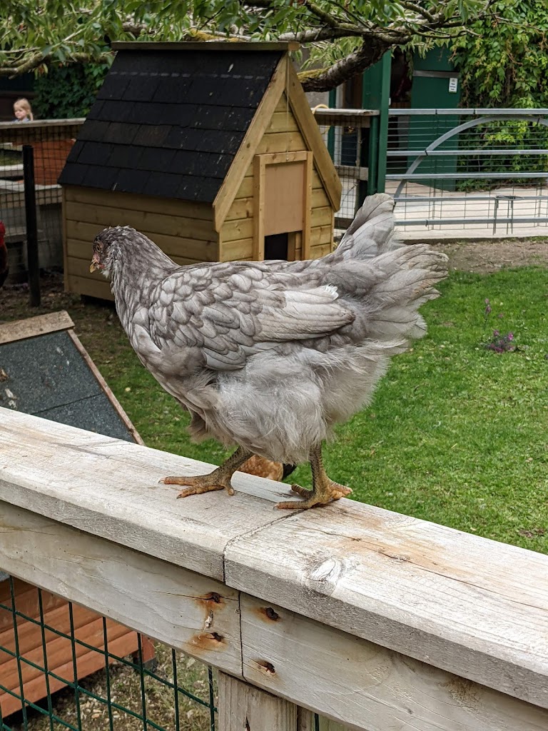 Fort Evergreen Warrenpoint 8