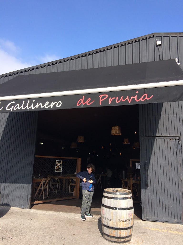 El Gallinero de Pruvia - Foto 7