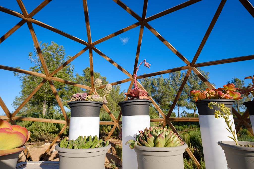 BIBO PARK Ibiza Botánico Biotecnológico 1