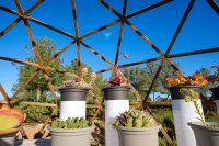 BIBO PARK Ibiza Botánico Biotecnológico