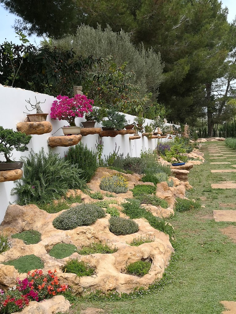 BIBO PARK Ibiza Botánico Biotecnológico - Foto 4