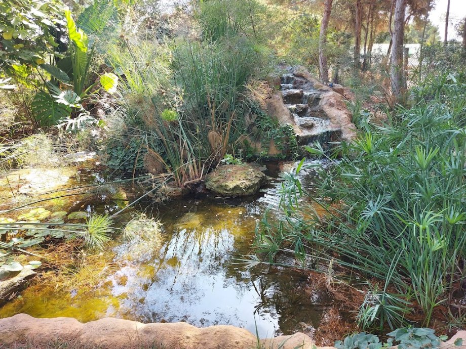 BIBO PARK Ibiza Botánico Biotecnológico - Foto 6