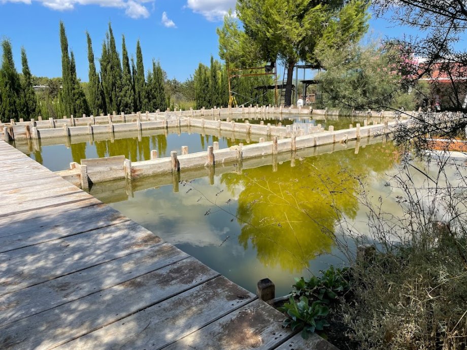 BIBO PARK Ibiza Botánico Biotecnológico - Foto 8