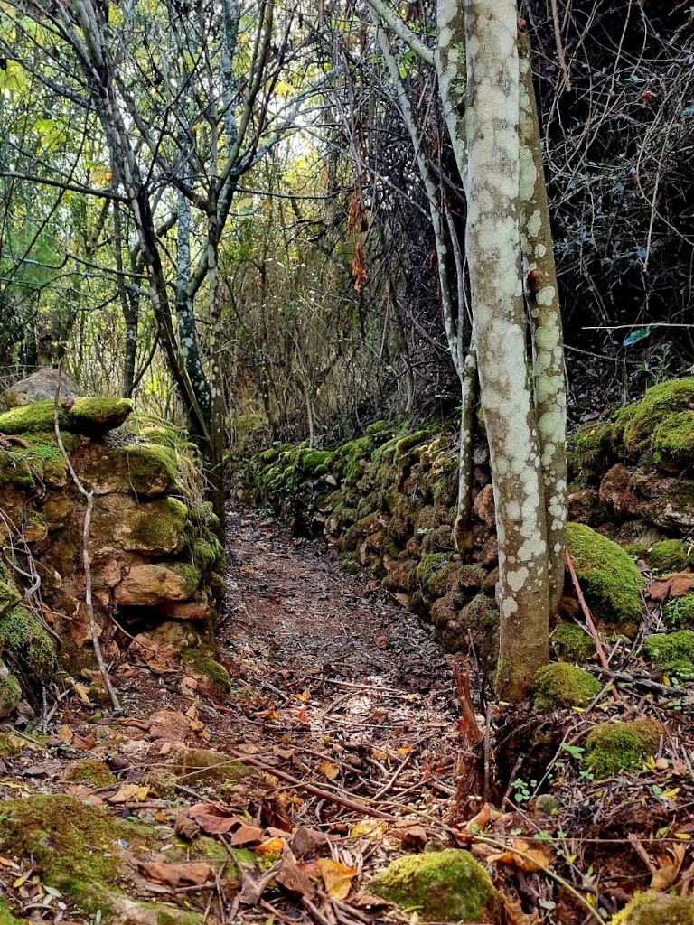 Centro de Naturaleza Cañada Verde - Foto 5