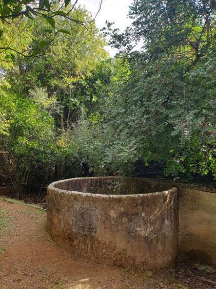 Centro de Naturaleza Cañada Verde - Foto 7