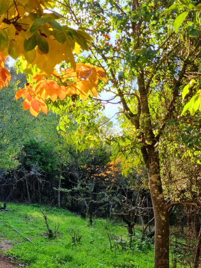 Centro de Naturaleza Cañada Verde - Foto 9