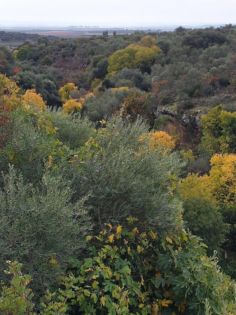 Centro de Naturaleza Cañada Verde - Foto 10