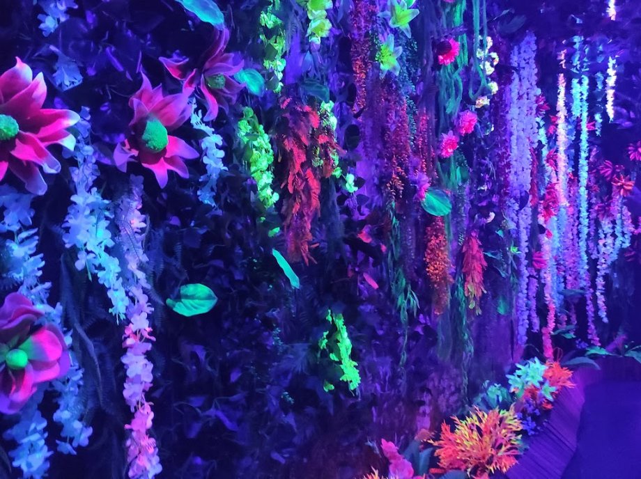 Sweet Space - Foto 7