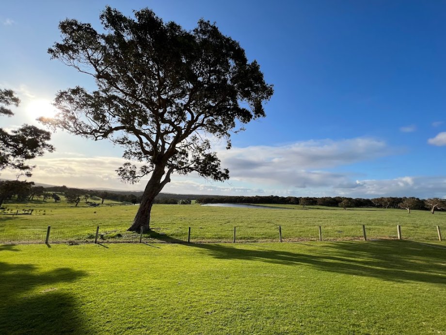 Eagle Bay Brewing Co - Foto 5