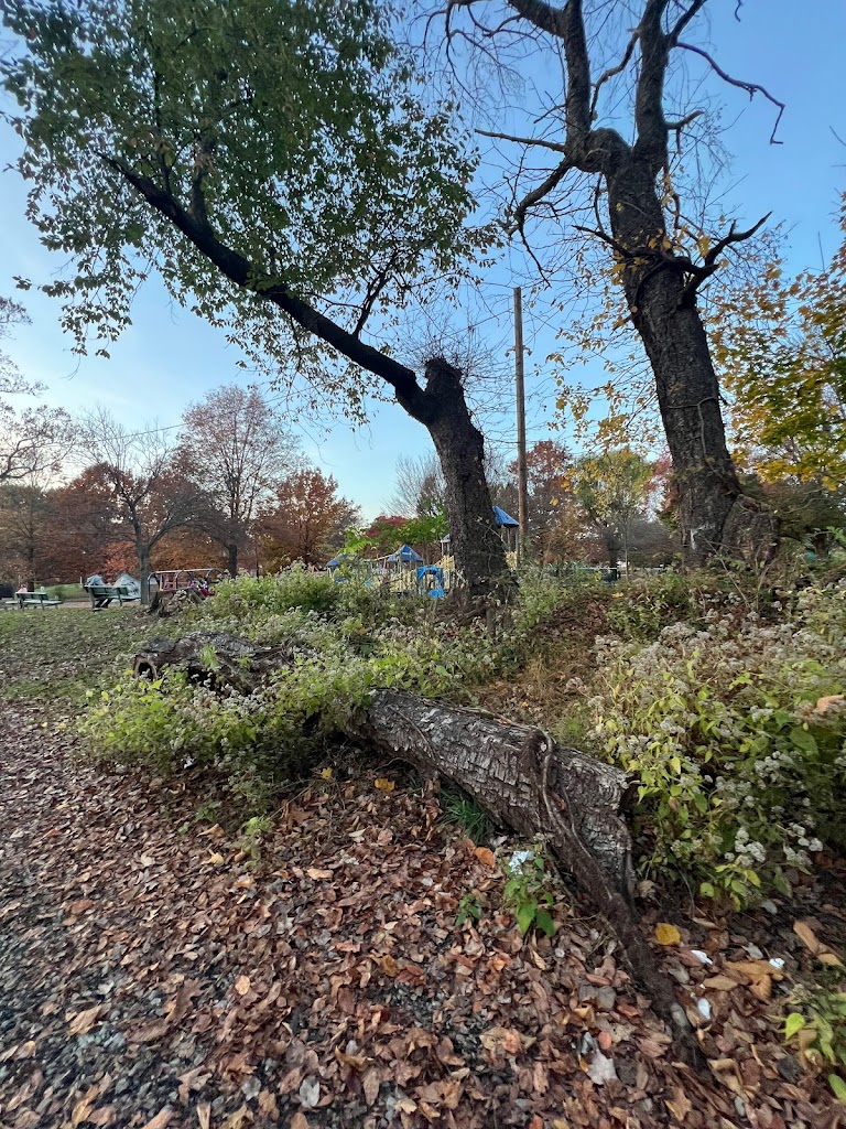 Champions Park Playground - Foto 5