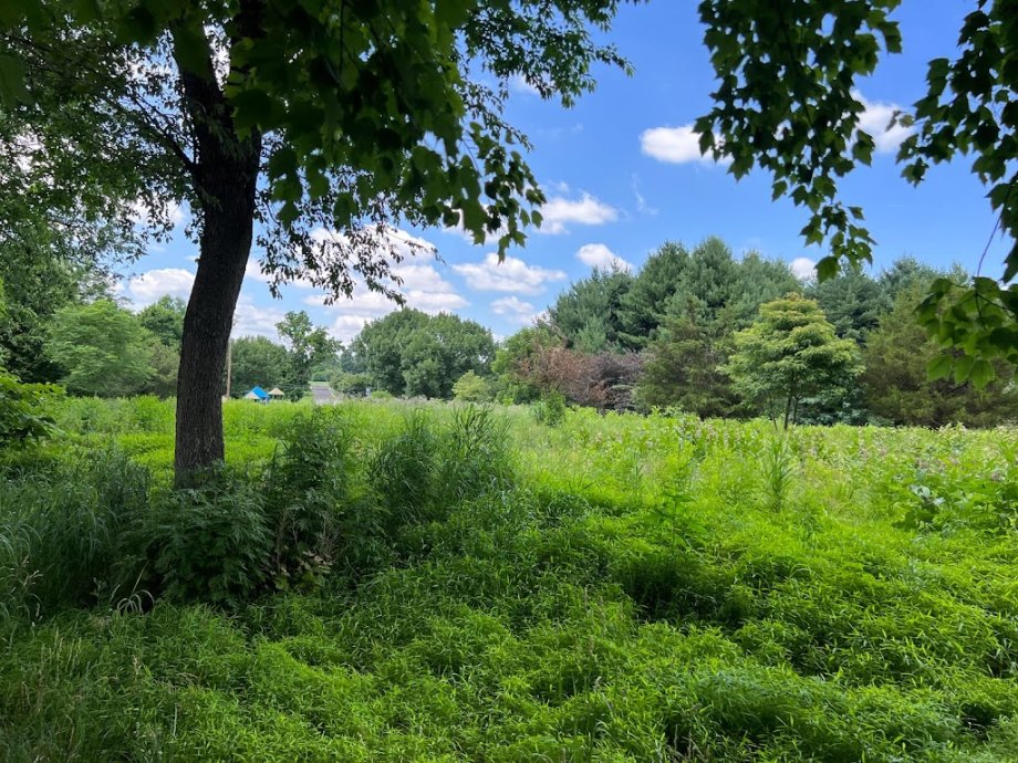 Champions Park Playground - Foto 8