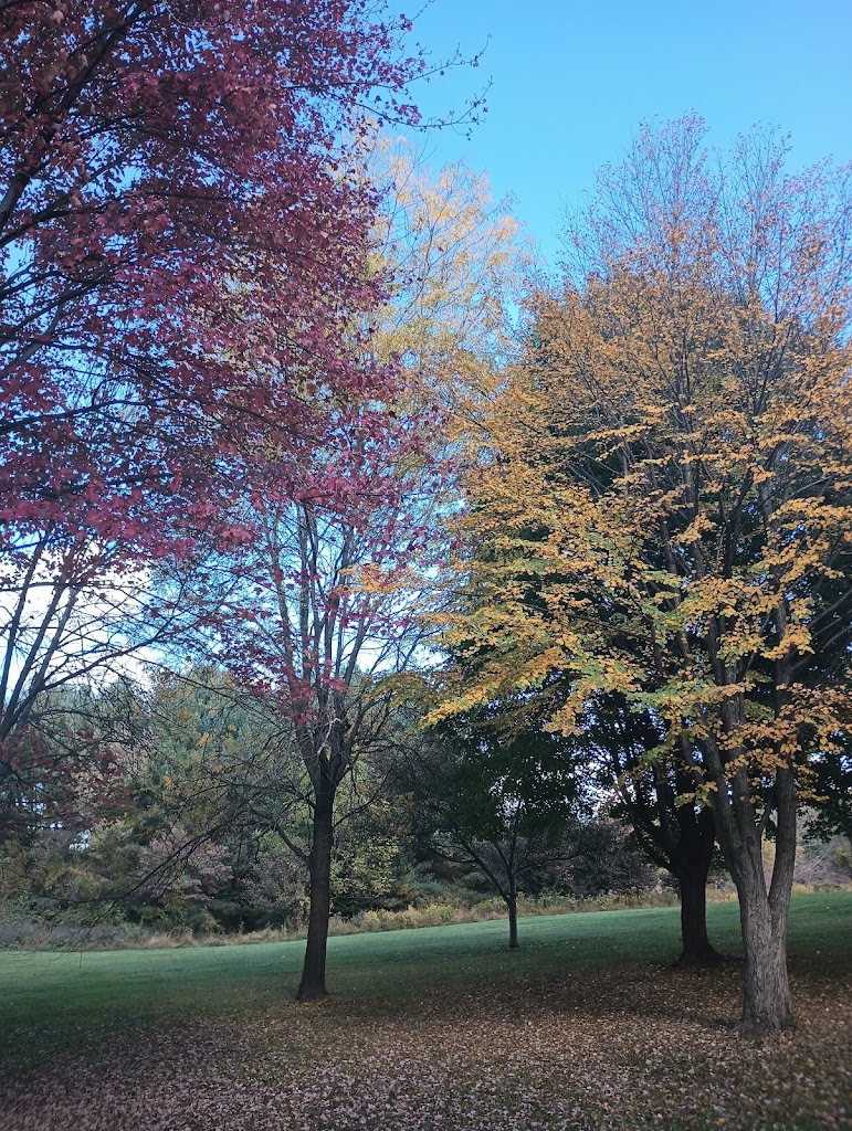 Champions Park Playground - Foto 9