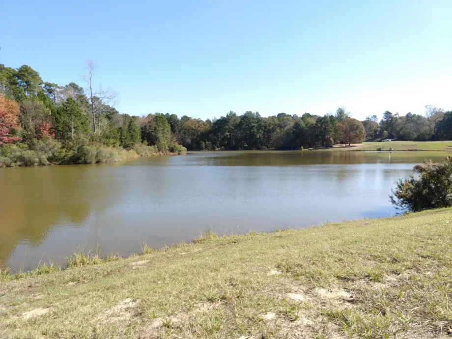 Faulkner Park - Foto 3