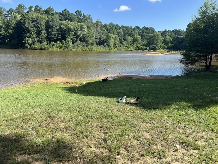 Faulkner Park - Foto 6