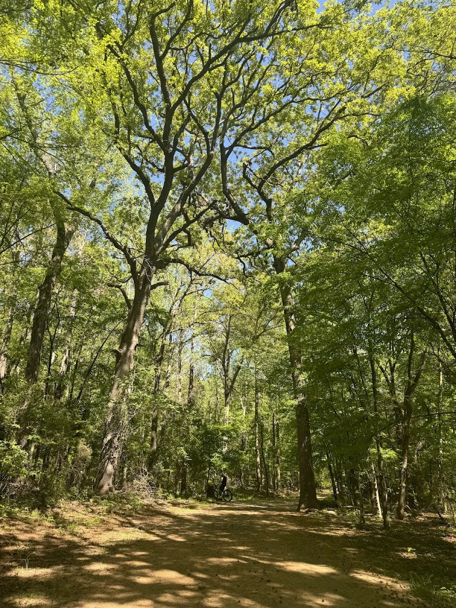 Faulkner Park - Foto 10