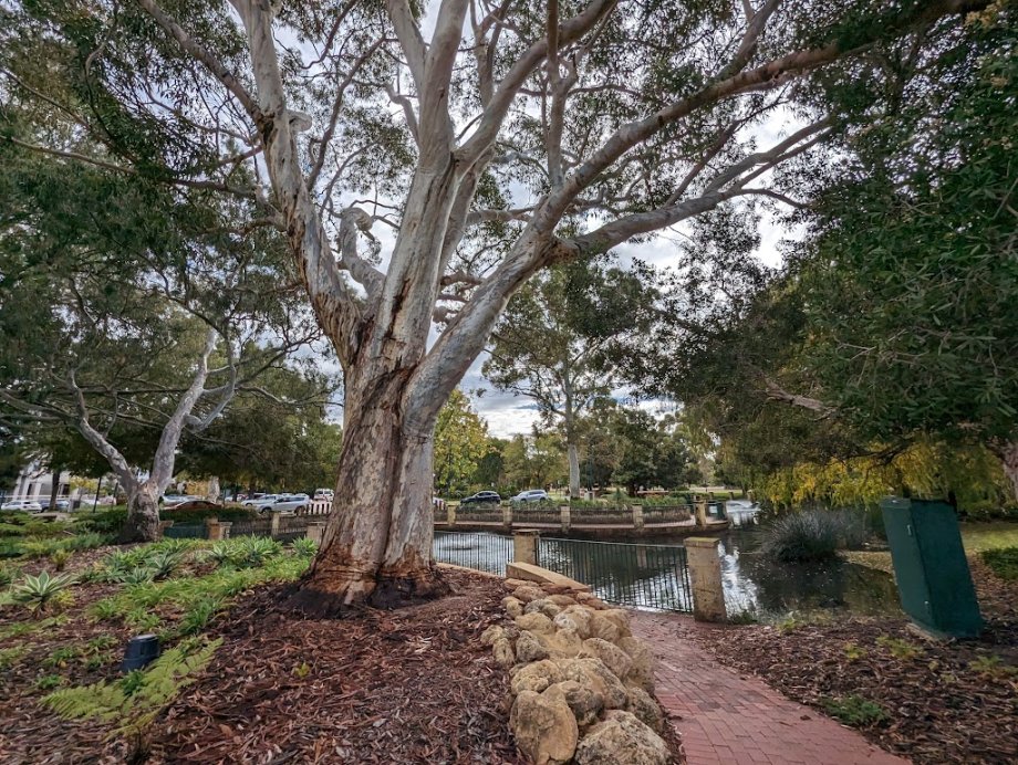 Faulkner Park - Foto 6