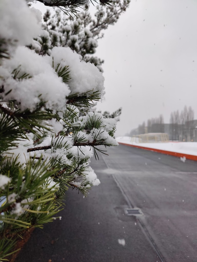 Quartiersplatz Theresienhöhe - Foto 6