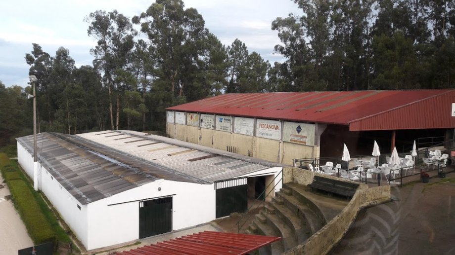 Escuela Equitación San Cosme - Foto 2