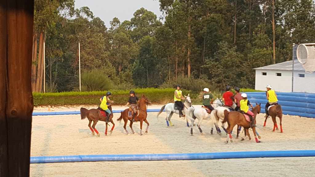 Escuela Equitación San Cosme 19