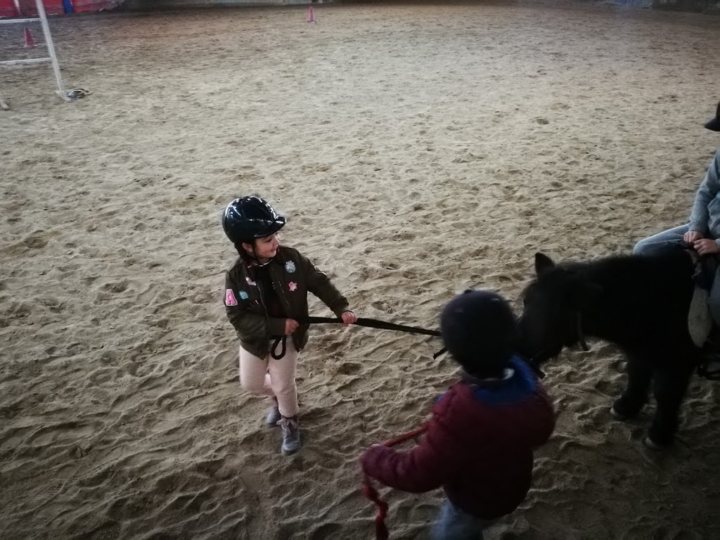 Escuela Equitación San Cosme 20