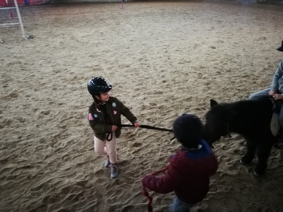 Escuela Equitación San Cosme - Foto 4