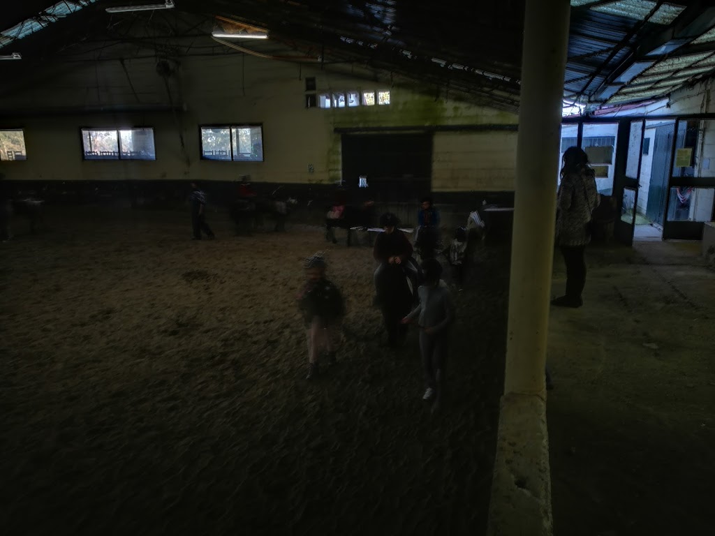 Escuela Equitación San Cosme - Foto 1