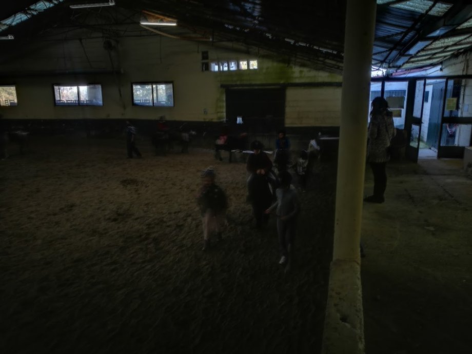 Escuela Equitación San Cosme - Foto 5