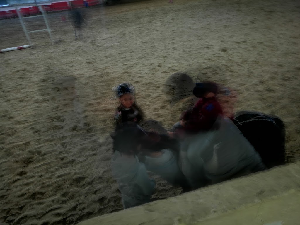 Escuela Equitación San Cosme 22