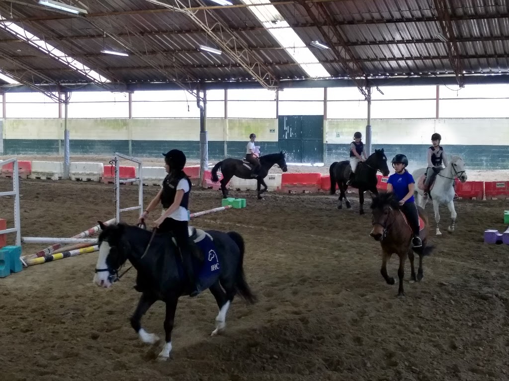 Escuela Equitación San Cosme 10