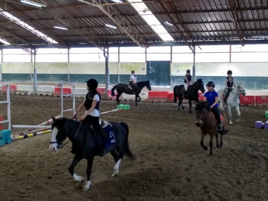 Escuela Equitación San Cosme - Foto 8