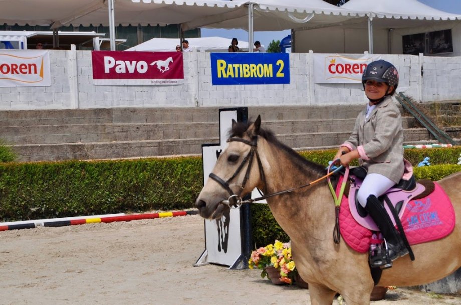 Escuela Equitación San Cosme - Foto 10