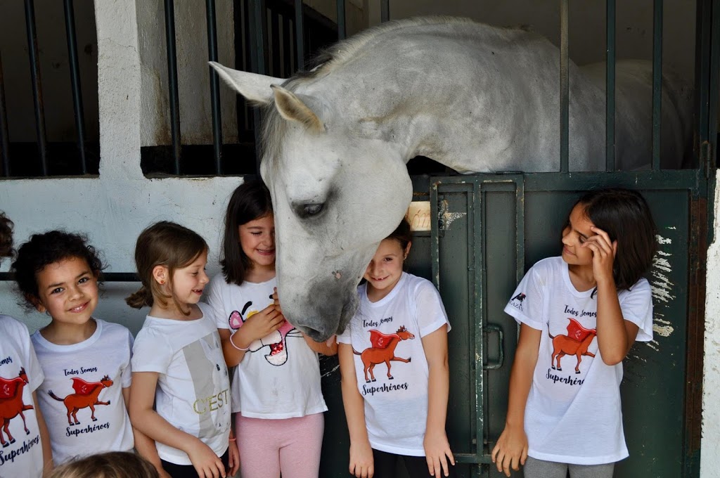 Escuela Equitación San Cosme 14