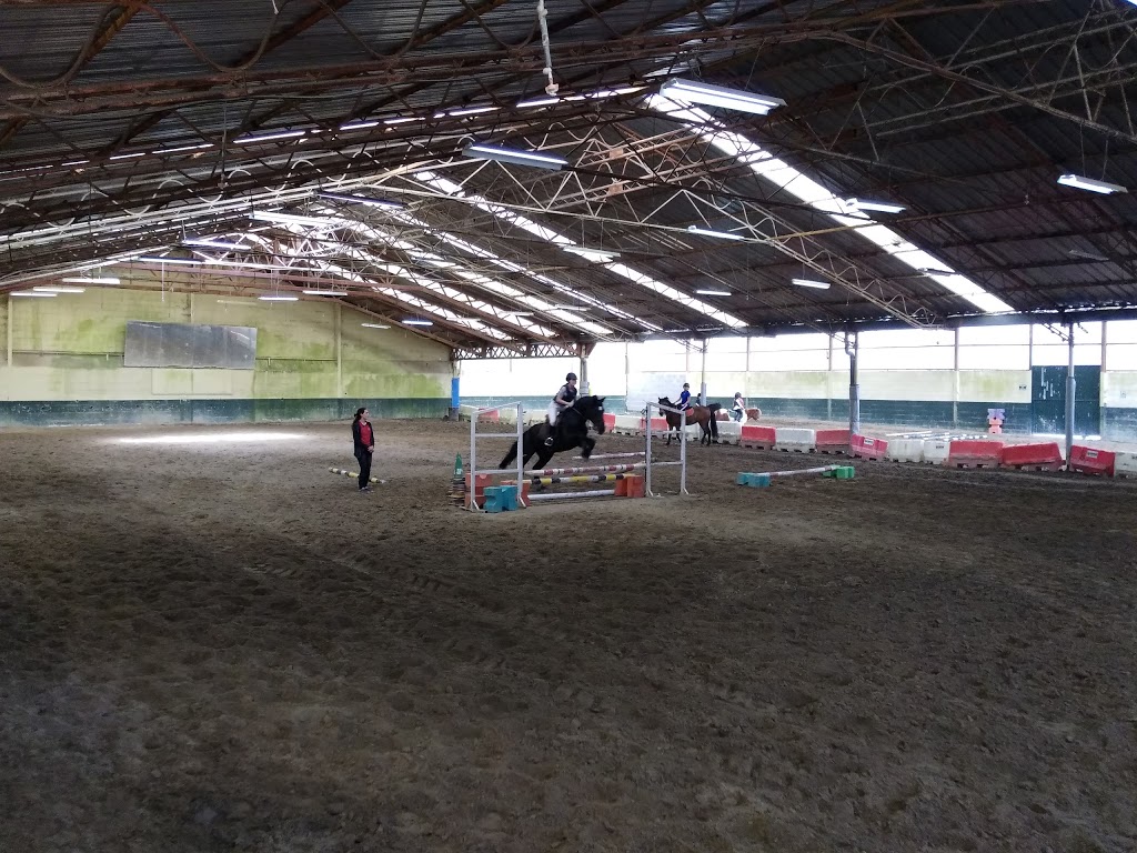 Escuela Equitación San Cosme - Foto 1