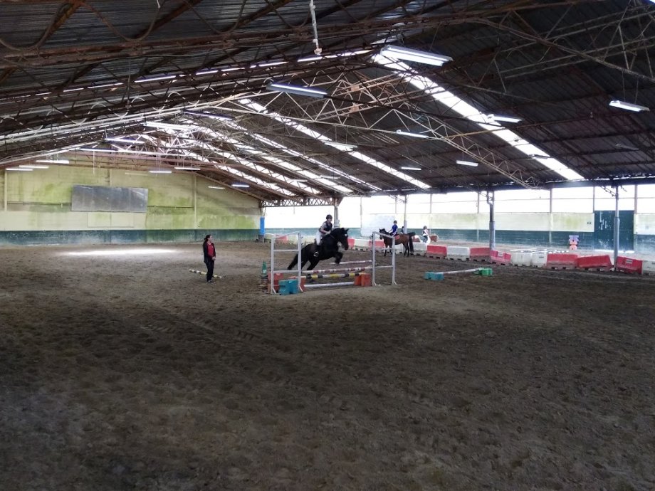 Escuela Equitación San Cosme - Foto 13