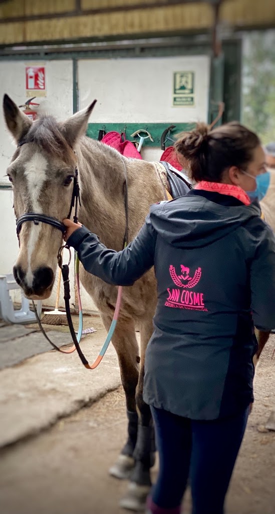 Escuela Equitación San Cosme - Foto 18