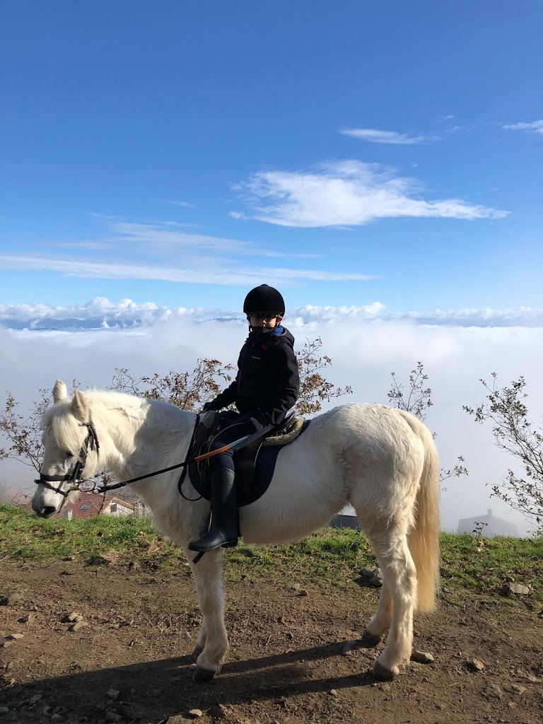 Escuela Equitación San Cosme - Foto 22