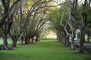 Colmslie Beach Reserve